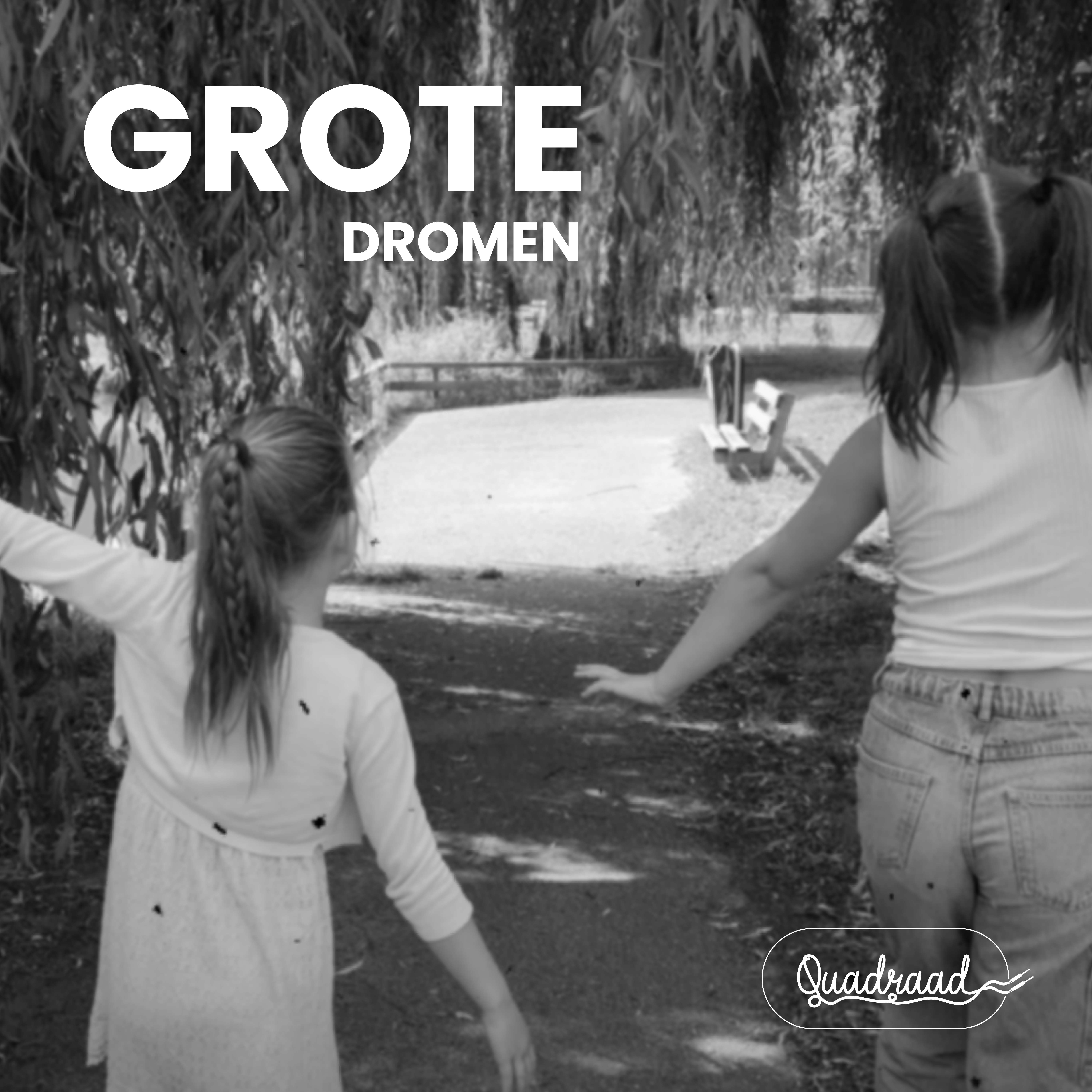 Quadraad Grote dromen coverart